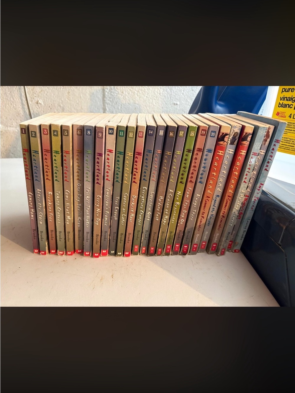 25 Heartland Paperback Book Set - #1-6,8-20 + 6 extra Heartland books